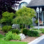 Mulch display at Lawnscape