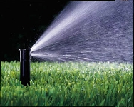 Sprinkler head- click to enlarge